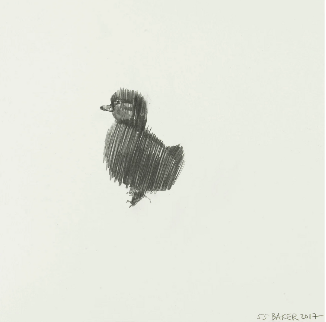 DUCKLiNG #55 GiLES