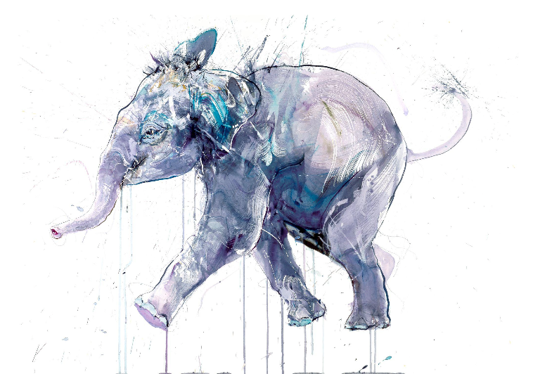 YOUNG ELEPHANT 1