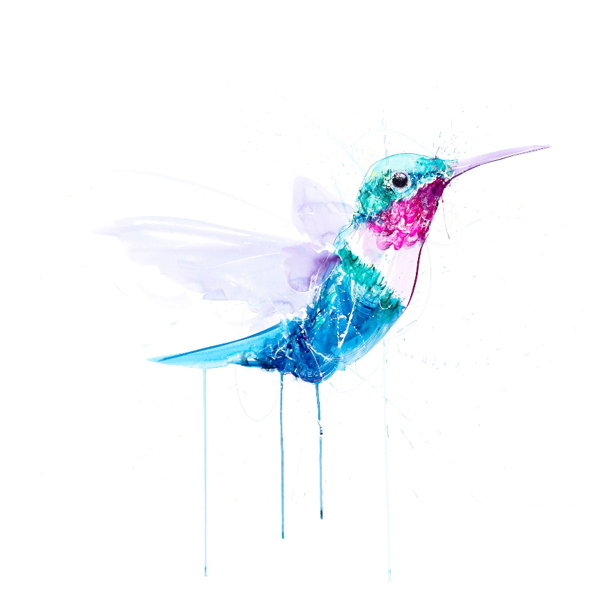 FRAMED - HUMMiNGBiRD VII