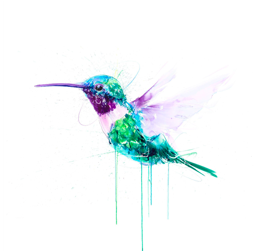 FRAMED - HUMMiNGBiRD X