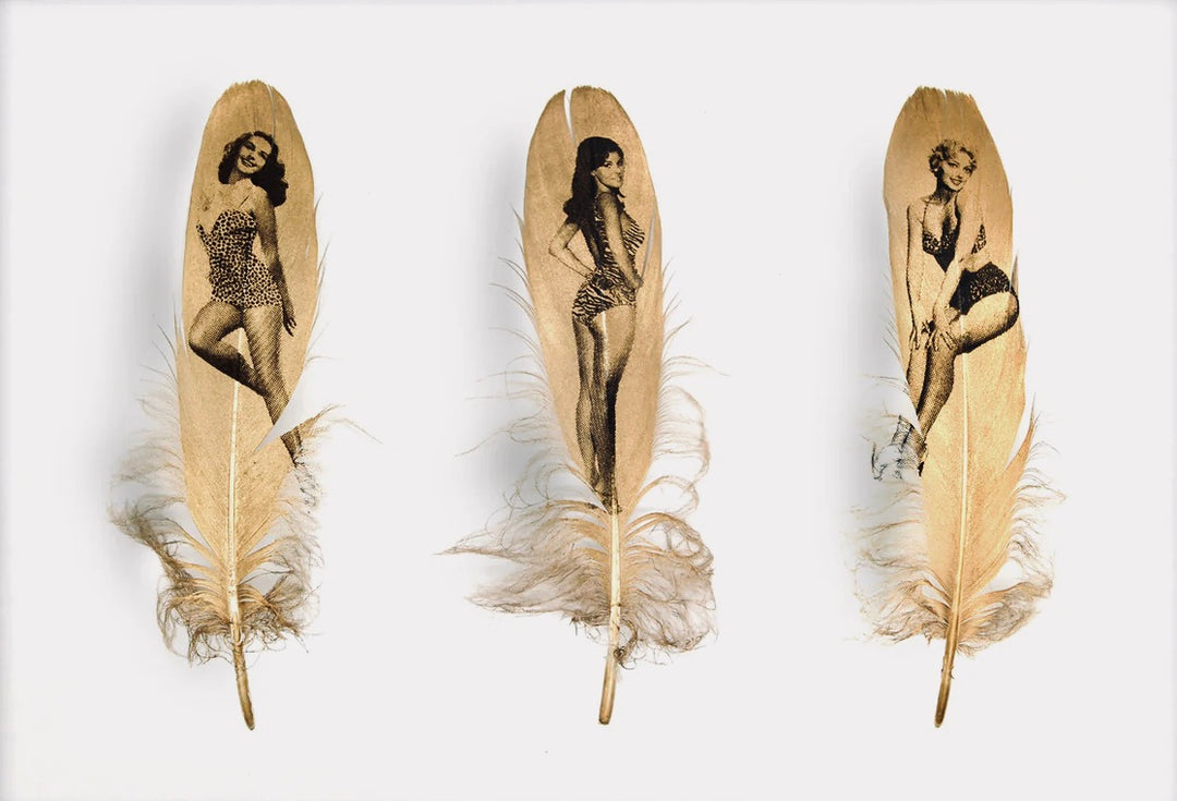 VIXENS iN GOLD