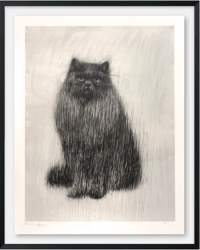 LOOK iNTO MY EYES, NOT AROUND MY EYES, LOOK iNTO MY EYES