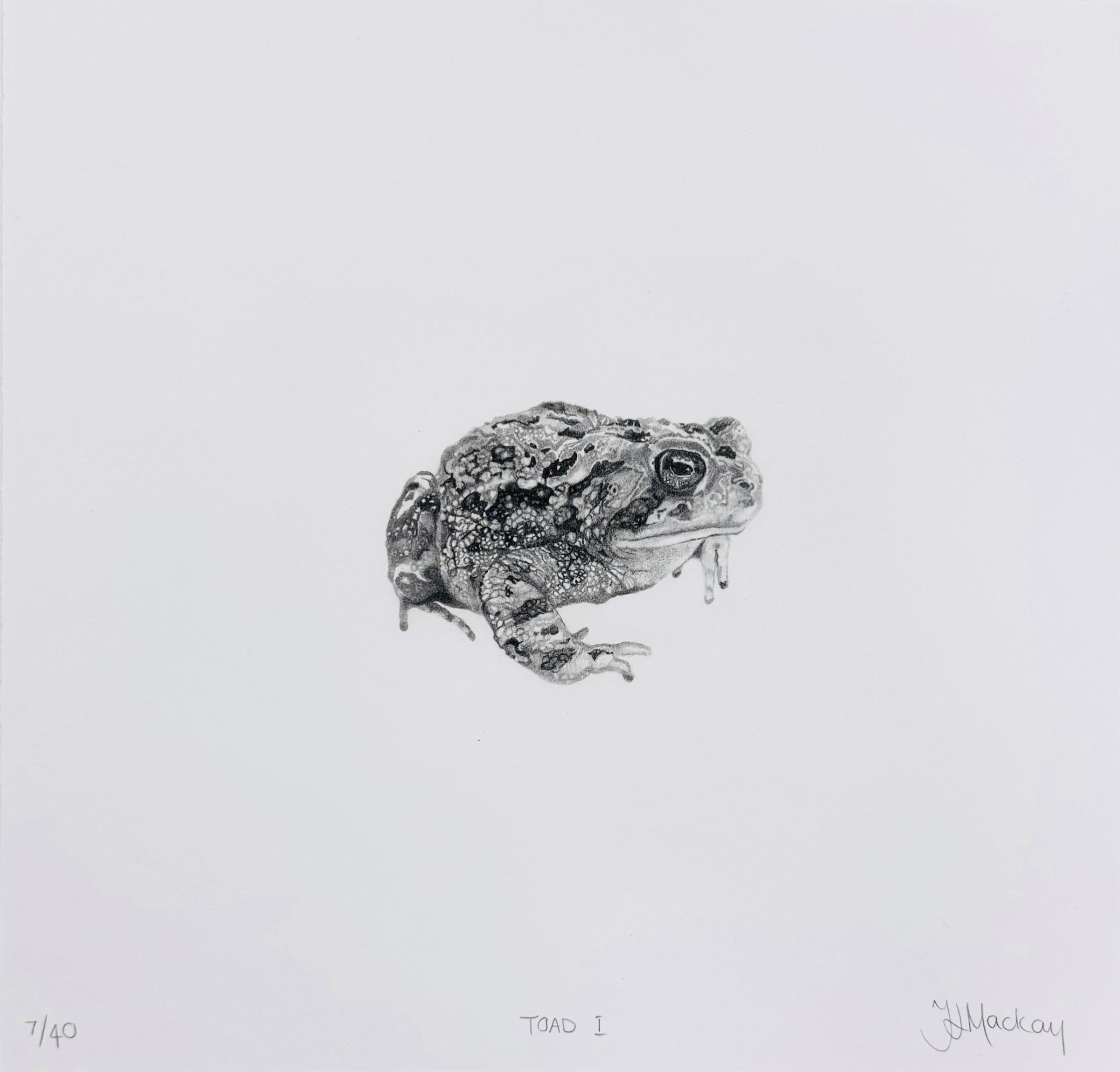 TAMMY MACKAY