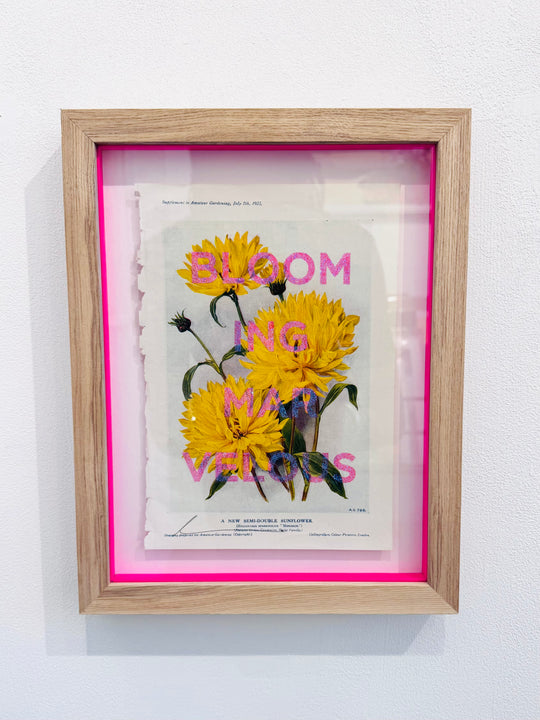 BLOOMiNG MARVELOUS