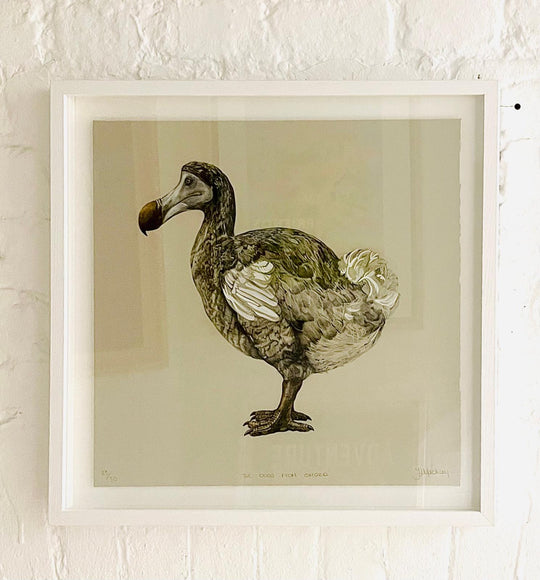 THE DODO FROM OXFORD