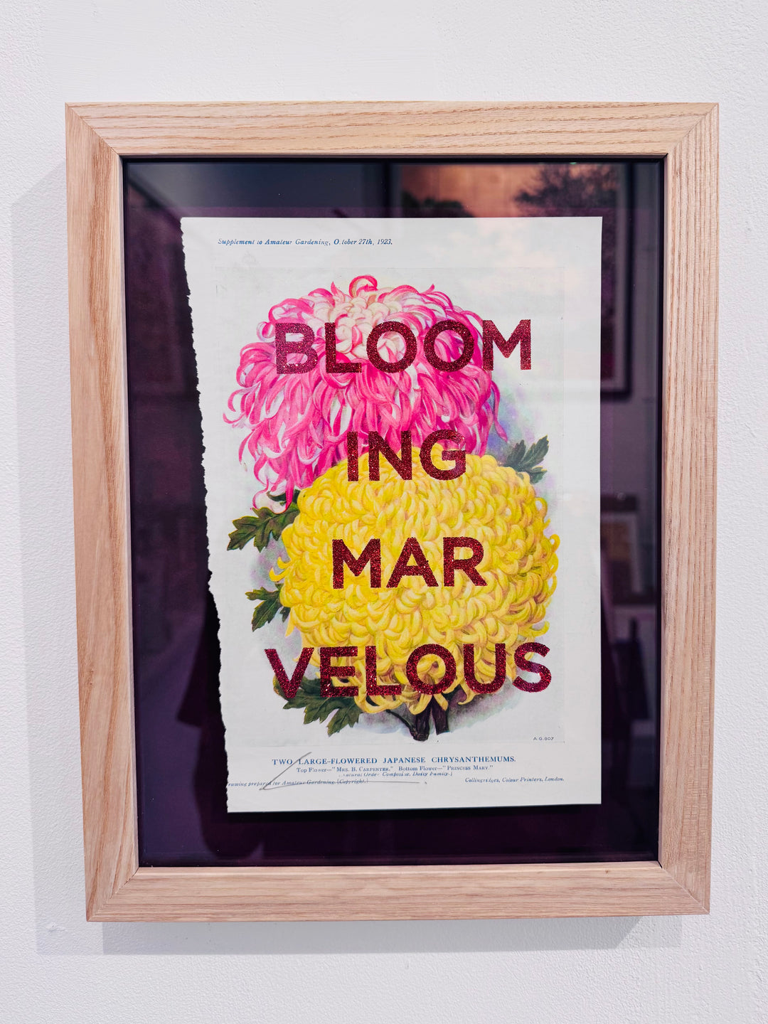 BLOOMiNG MARVELOUS