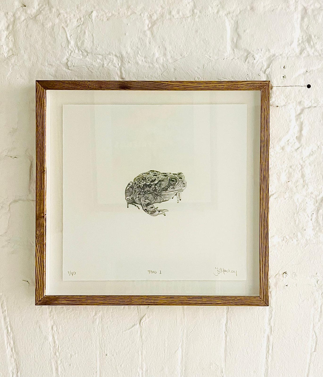 TOAD i