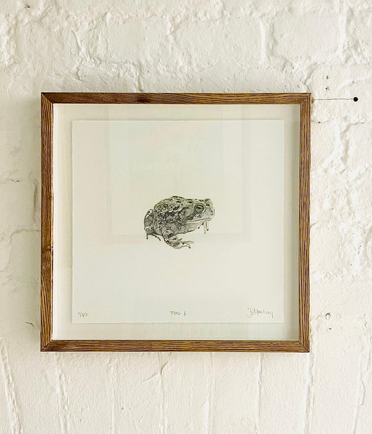 TOAD i