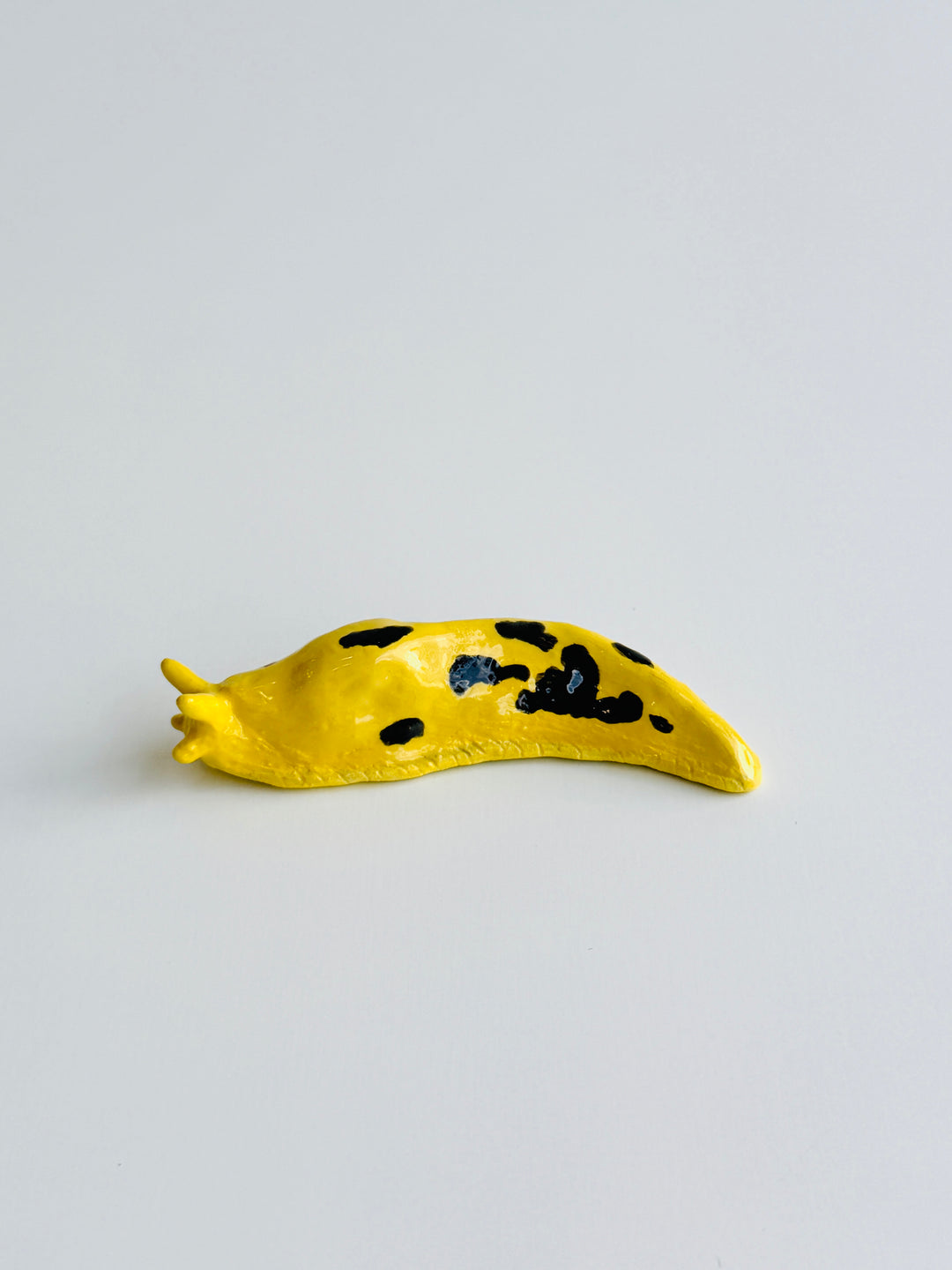 BANANA SLUG V
