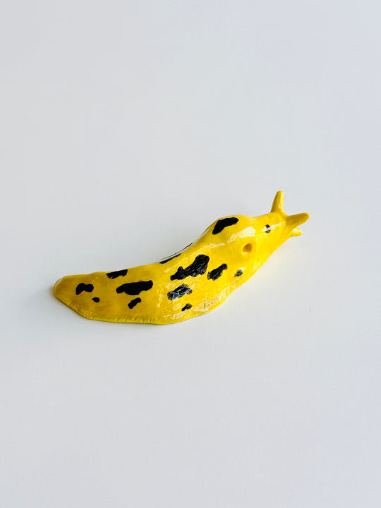 BANANA SLUG V
