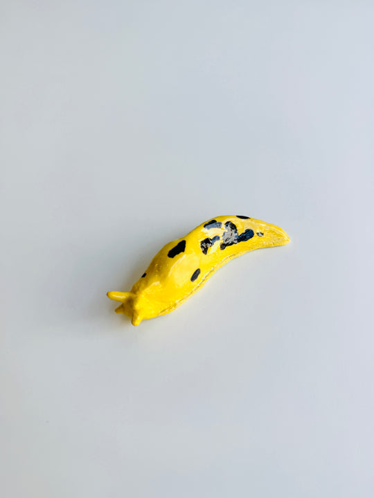 BANANA SLUG V
