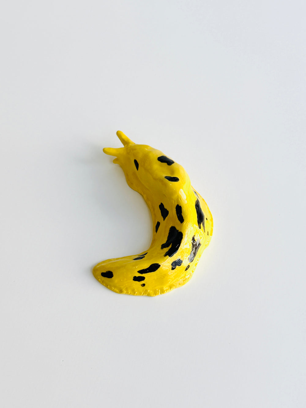 BANANA SLUG Vi