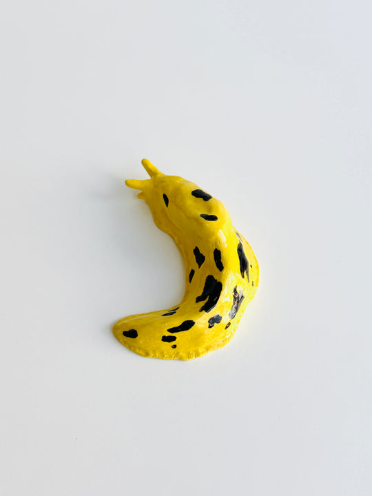BANANA SLUG Vi