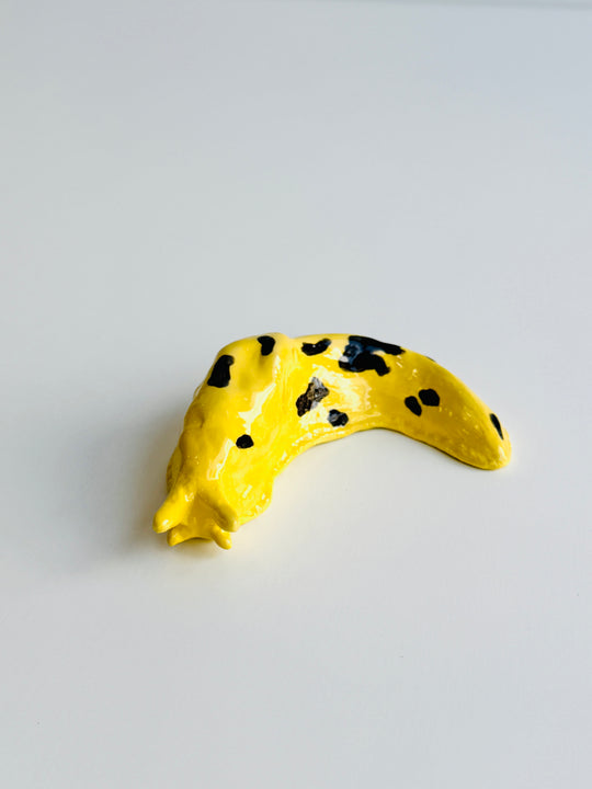 BANANA SLUG Vi