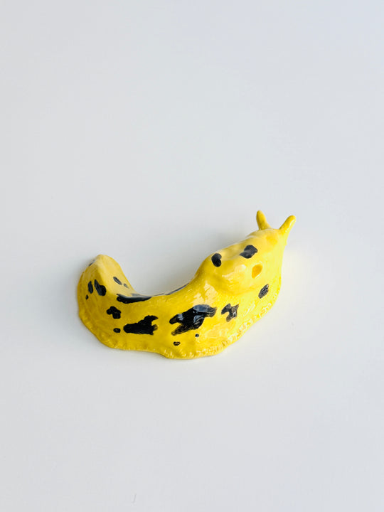 BANANA SLUG Vi