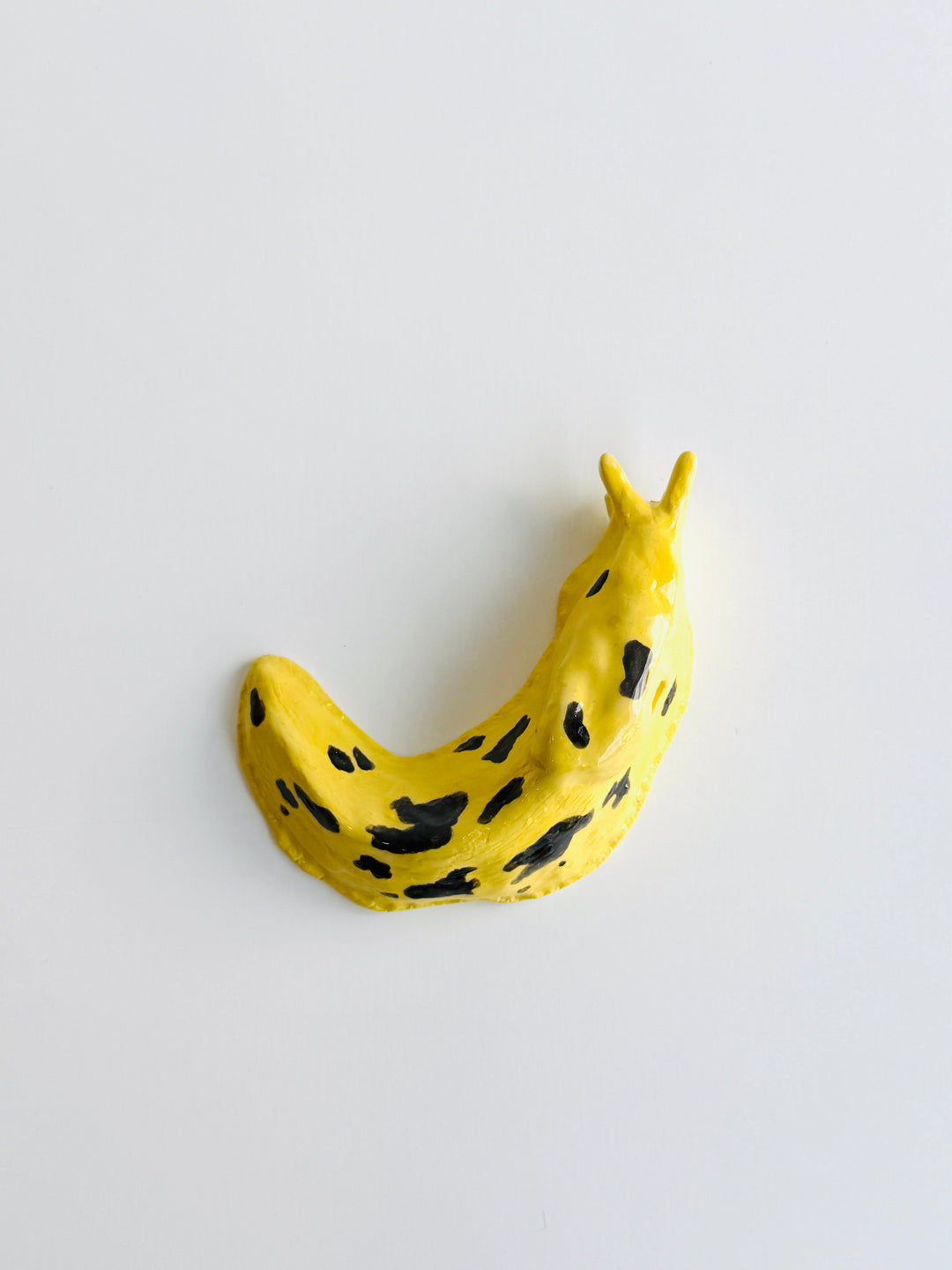 BANANA SLUG Vi