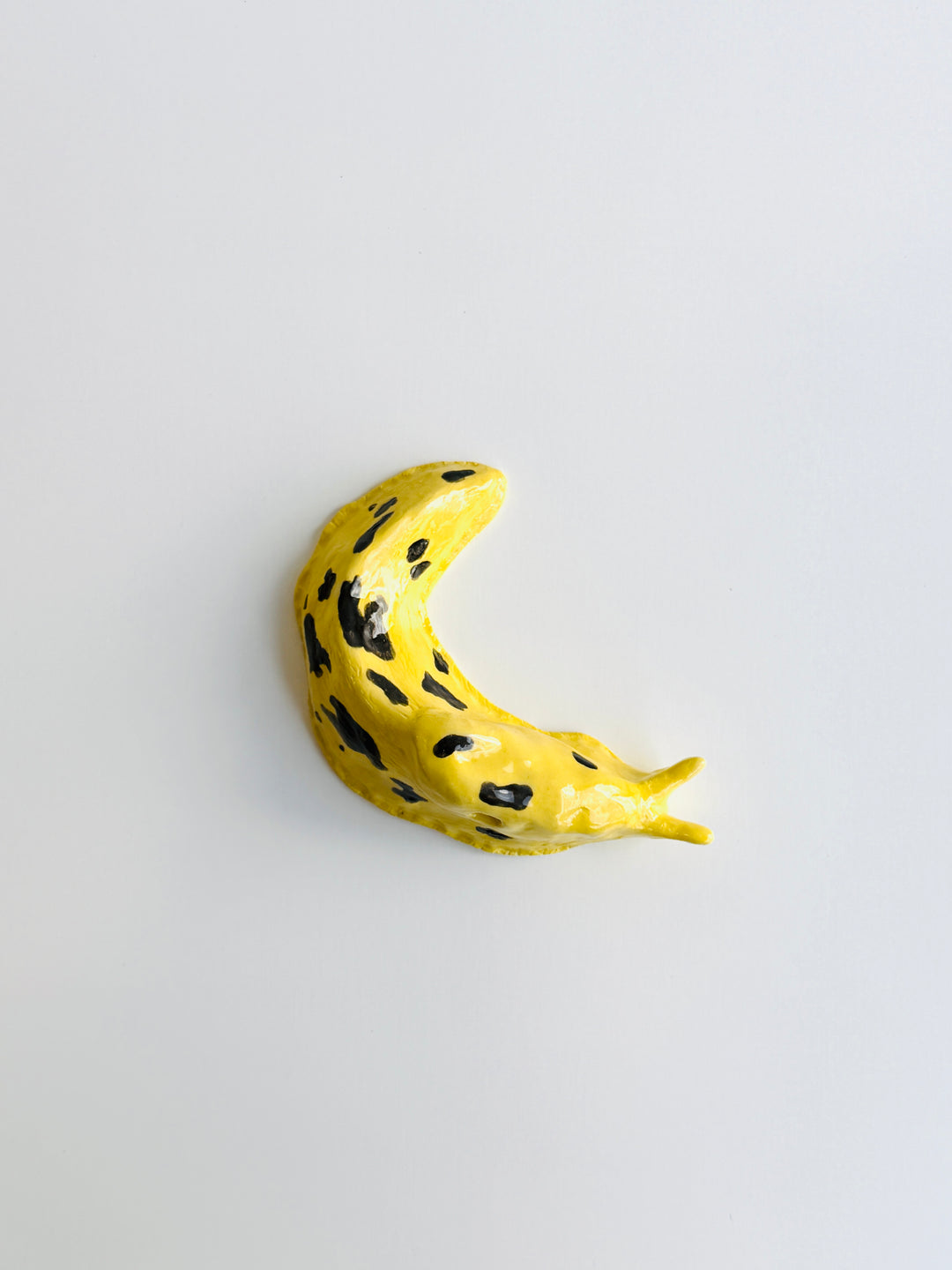BANANA SLUG Vi