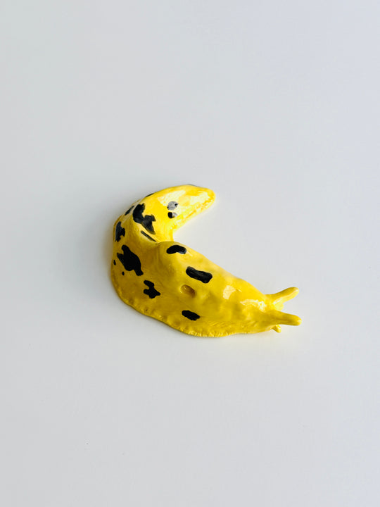 BANANA SLUG Vi