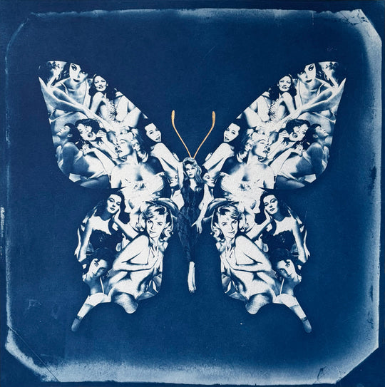 BOMBSHELL BUTTERFLY CYANOTYPE