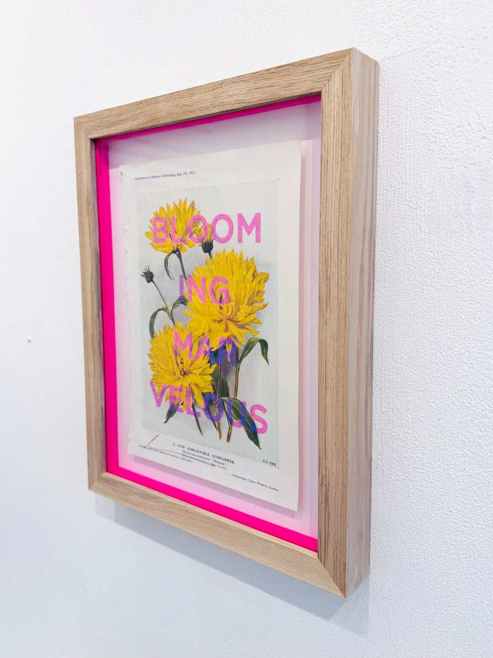 BLOOMiNG MARVELOUS