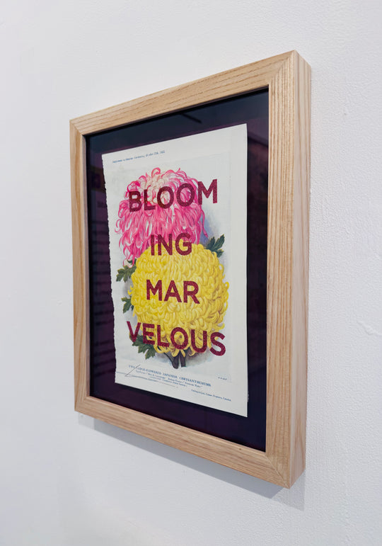 BLOOMiNG MARVELOUS