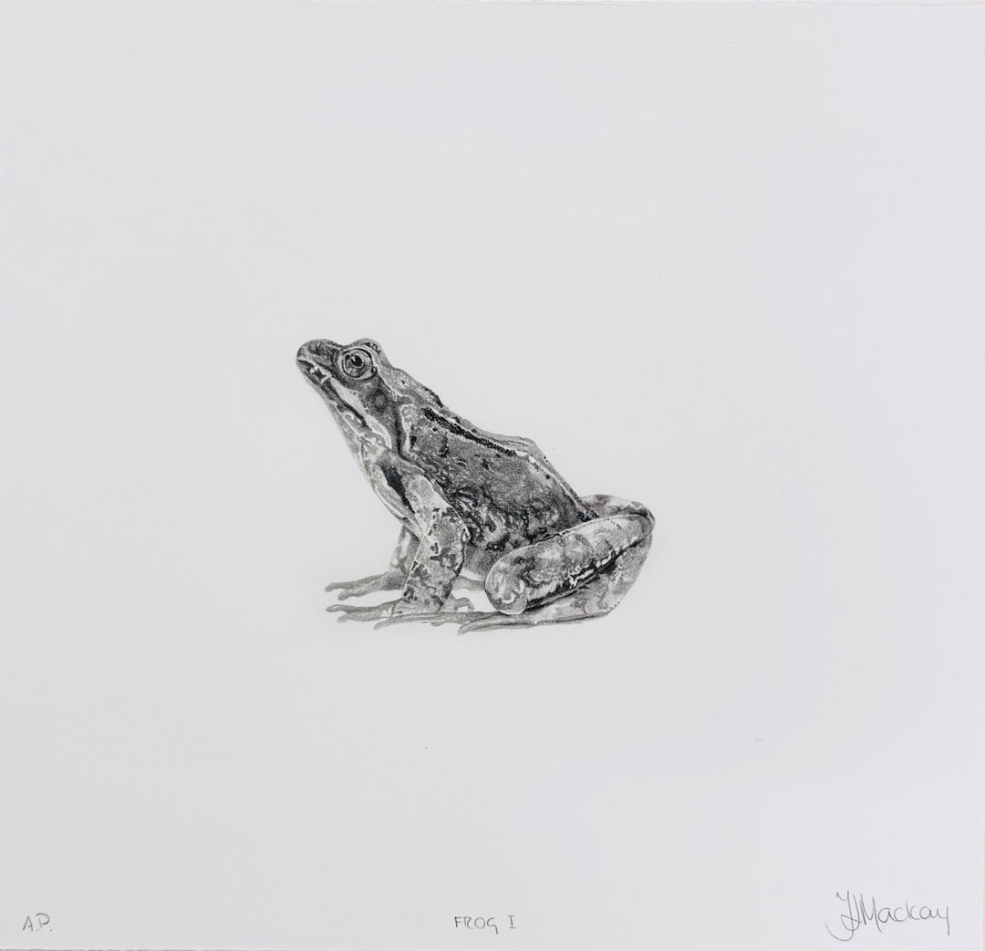 FROG i