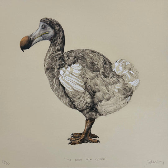 THE DODO FROM OXFORD