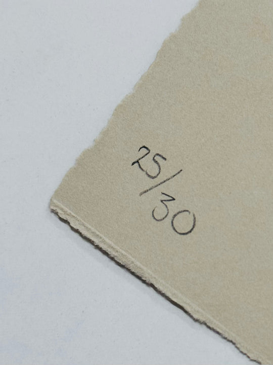 THE DODO FROM OXFORD