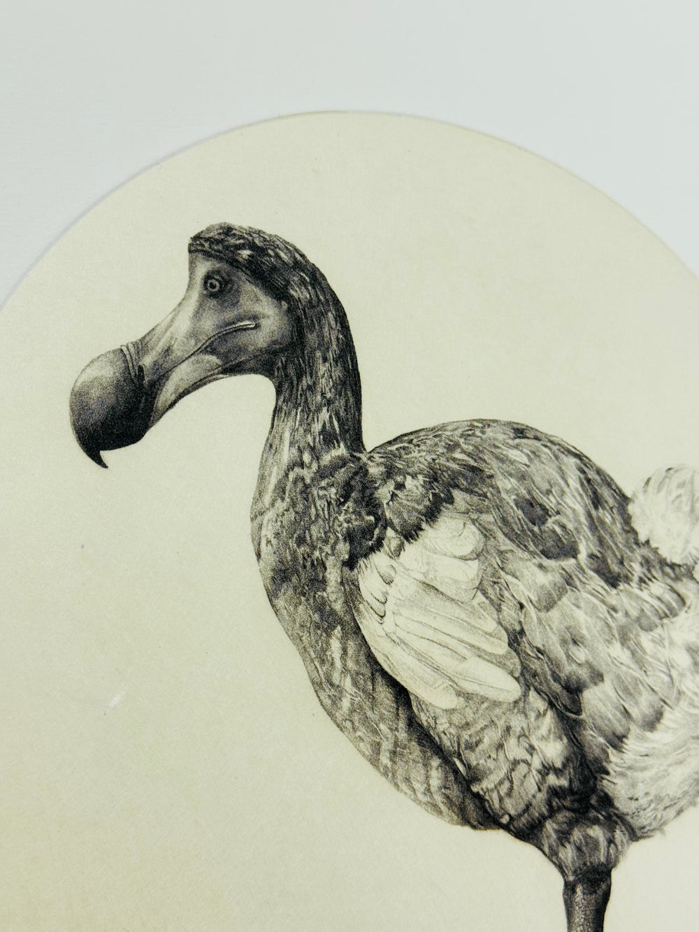 ALiCE'S DODO