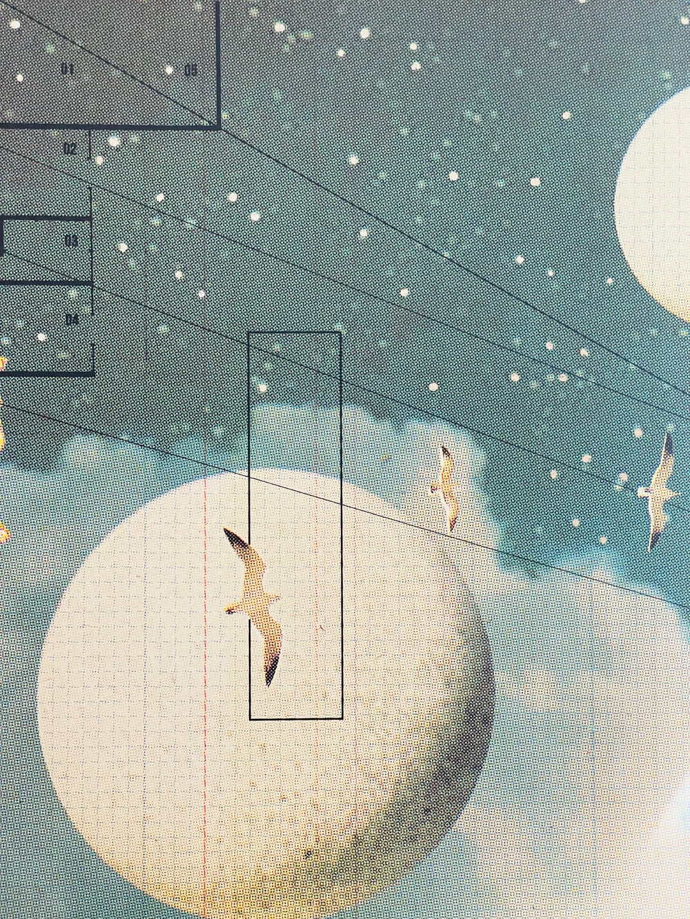 CELESTiAL SWiM