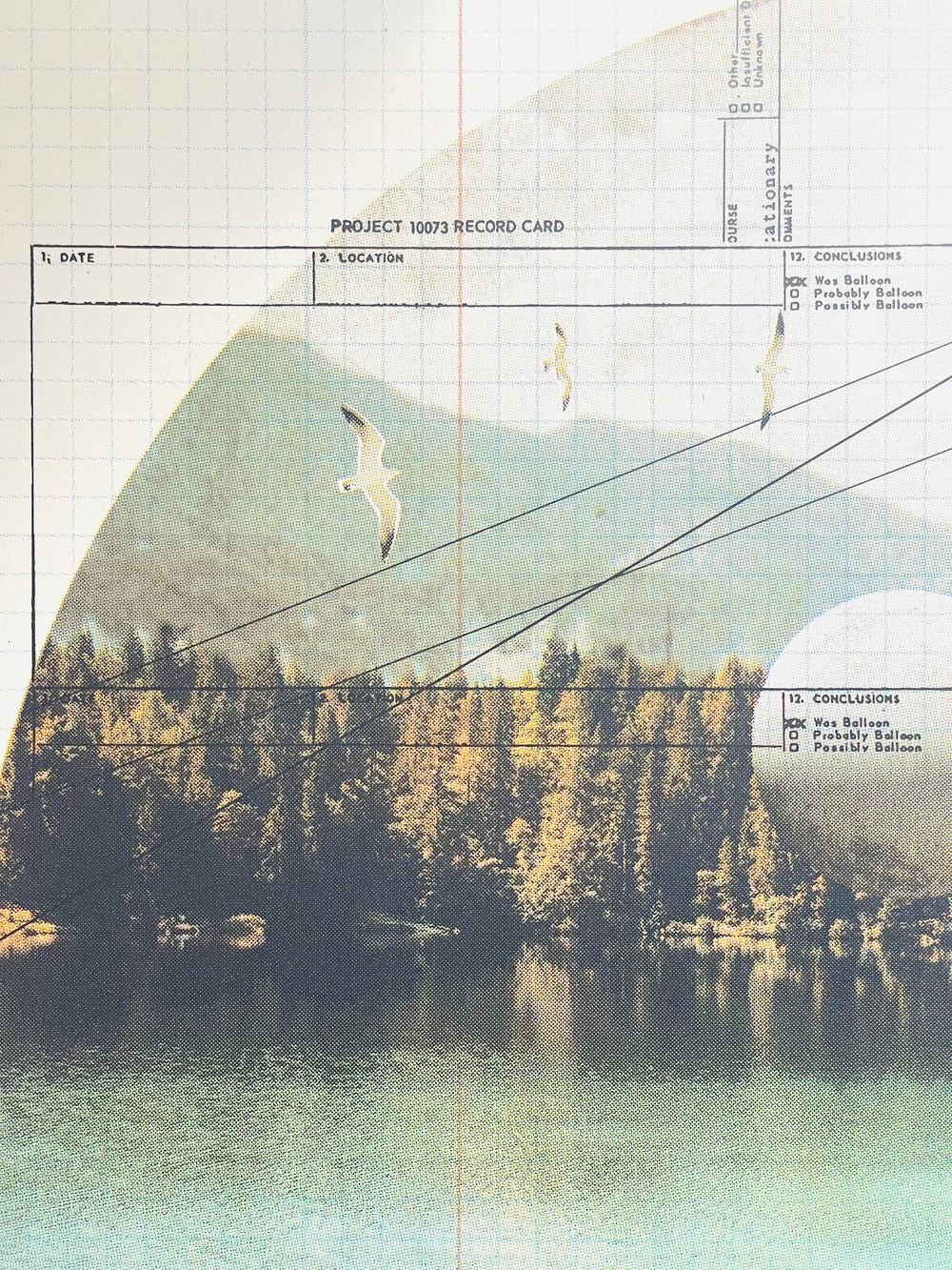 EDGE OF THE LAKE