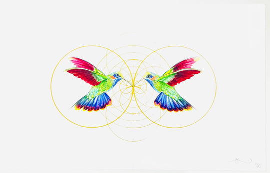 POP BiRDS