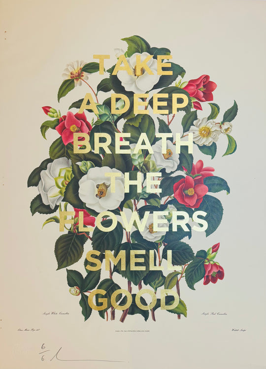 TAKE A DEEP BREATH THE FLOWERS SMELL GOOD - XL CAMELLIA
