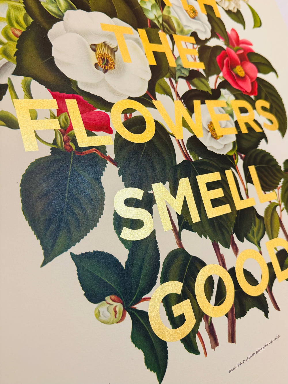 TAKE A DEEP BREATH THE FLOWERS SMELL GOOD - XL CAMELLIA