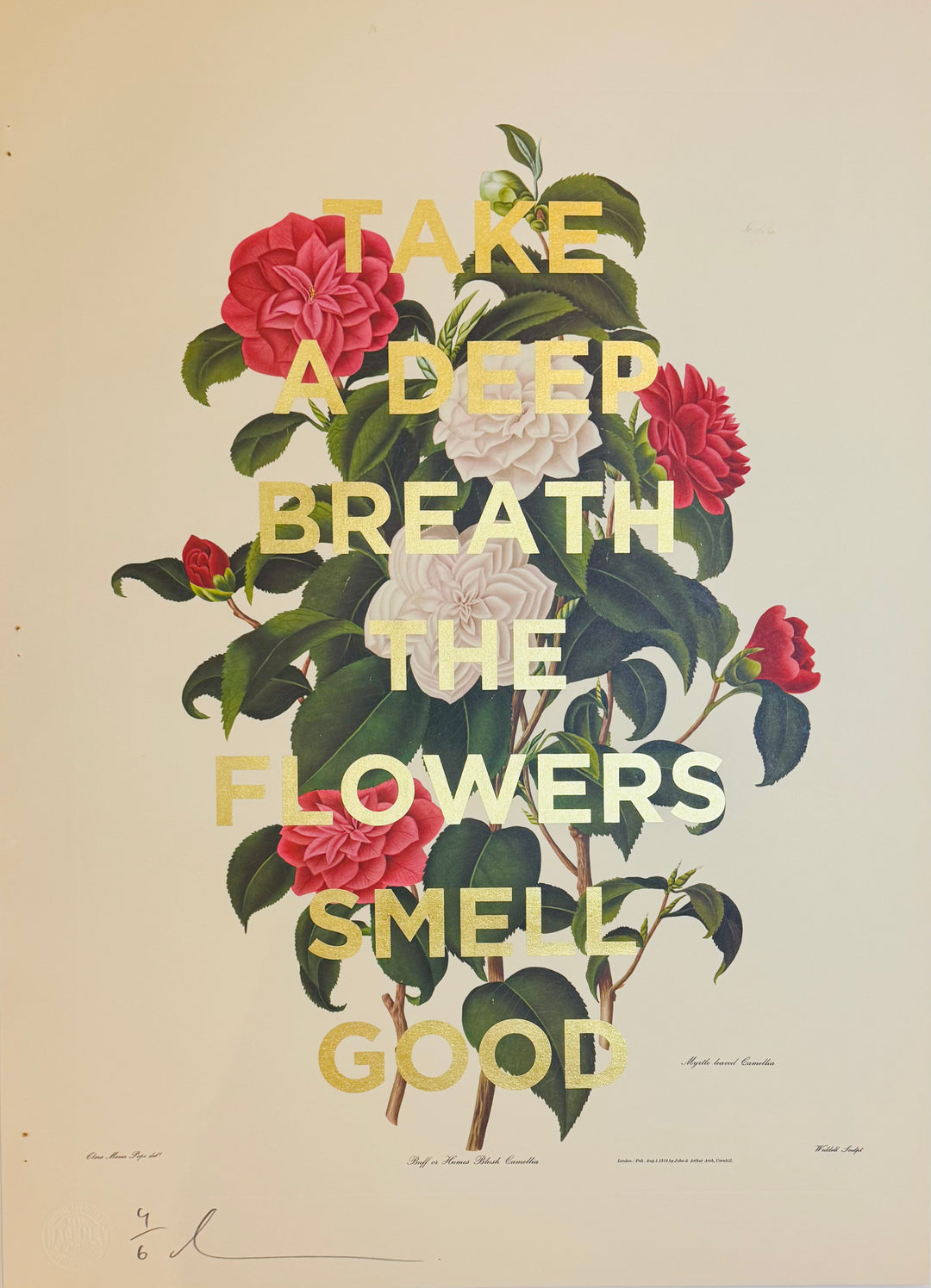 TAKE A DEEP BREATH THE FLOWERS SMELL GOOD - XL CAMELLIA