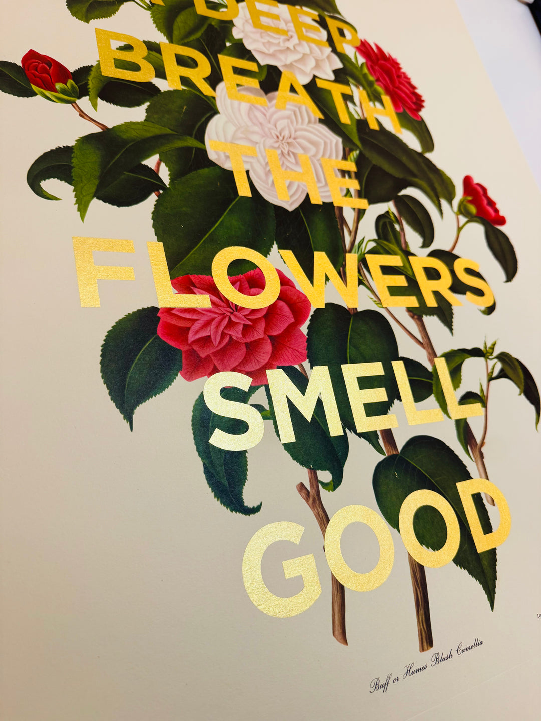 TAKE A DEEP BREATH THE FLOWERS SMELL GOOD - XL CAMELLIA