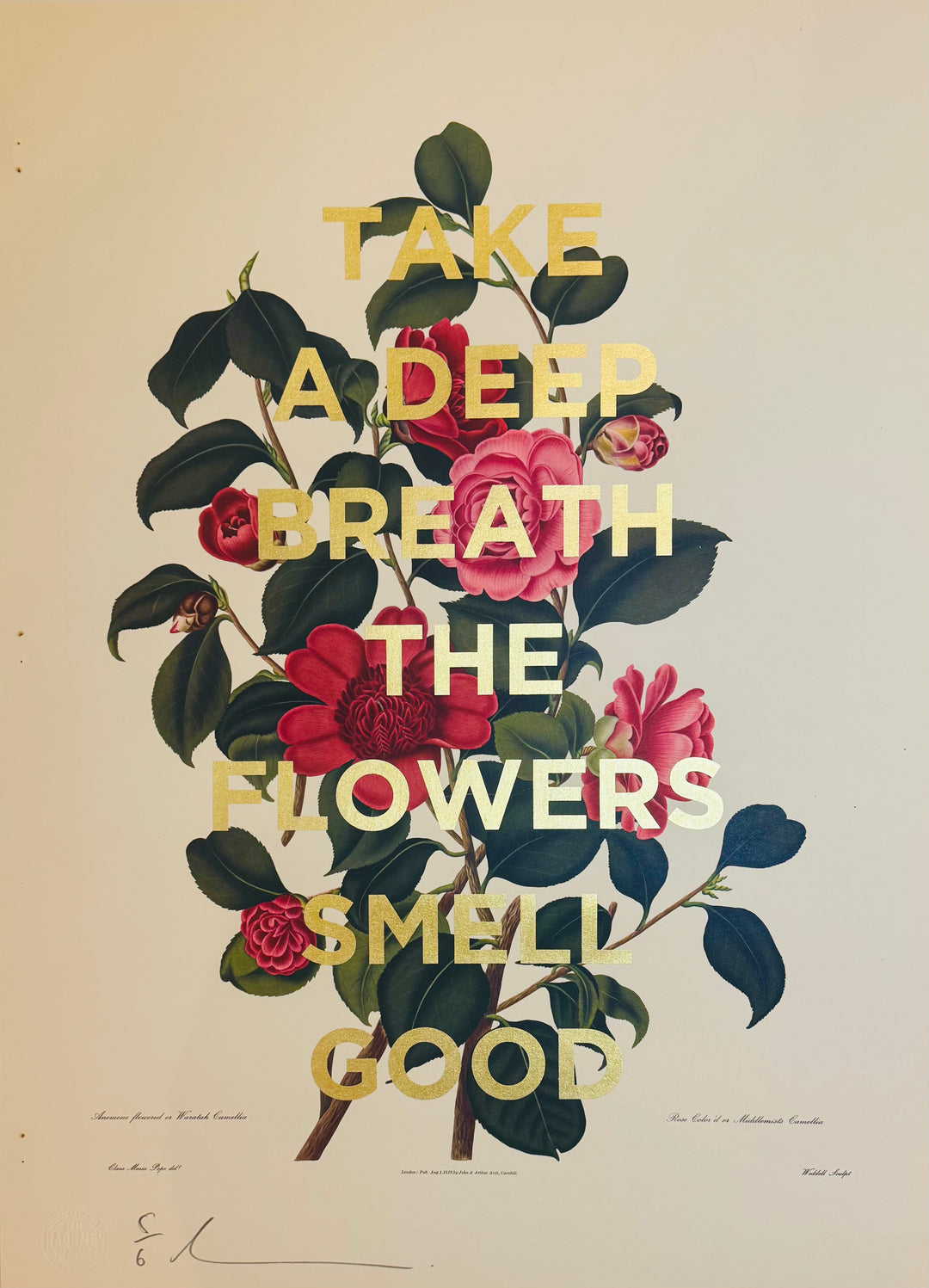 TAKE A DEEP BREATH THE FLOWERS SMELL GOOD - XL CAMELLIA
