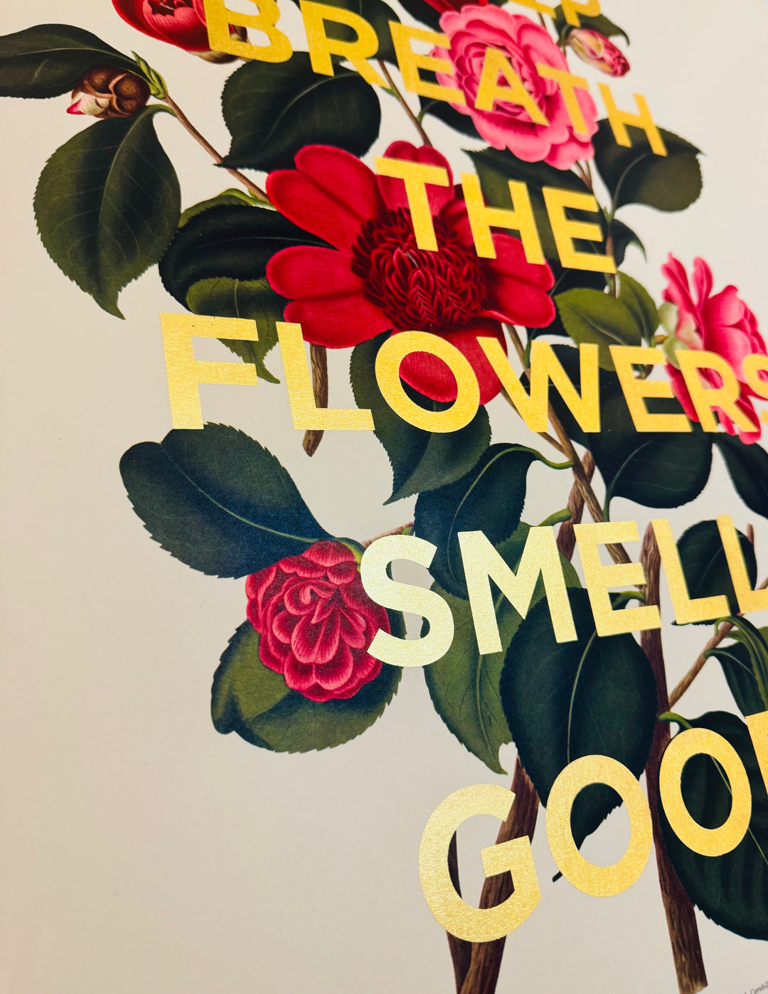 TAKE A DEEP BREATH THE FLOWERS SMELL GOOD - XL CAMELLIA