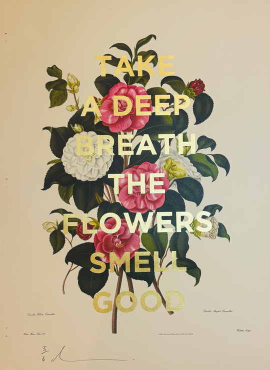 TAKE A DEEP BREATH THE FLOWERS SMELL GOOD - XL CAMELLIA