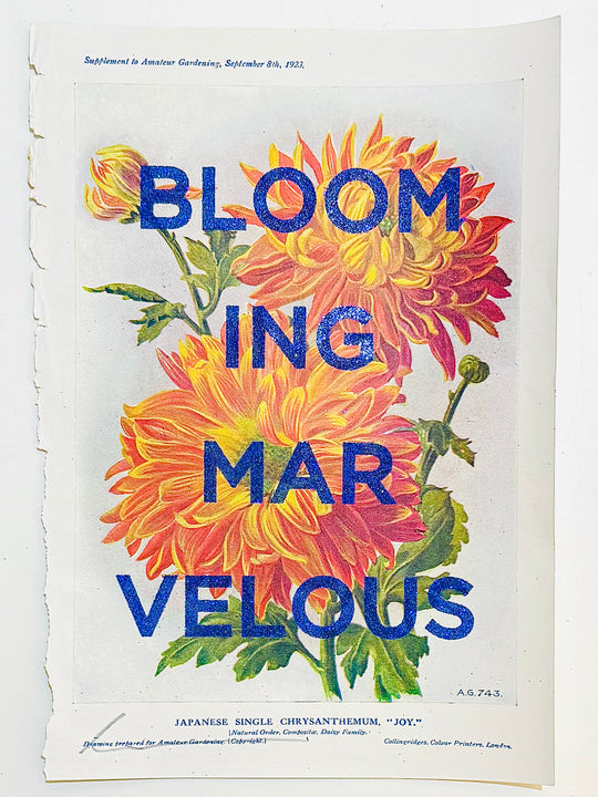 BLOOMING MARVELOUS