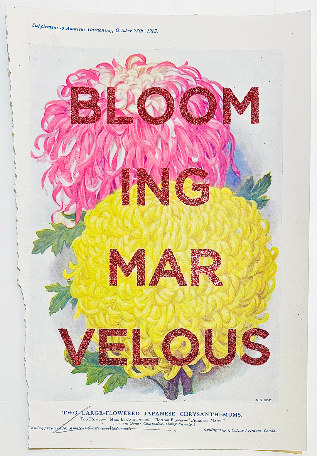 BLOOMING MARVELOUS
