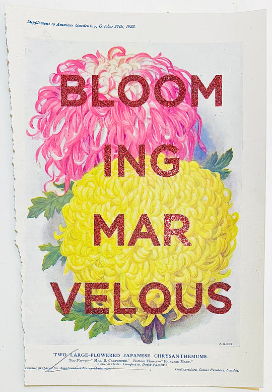 BLOOMING MARVELOUS