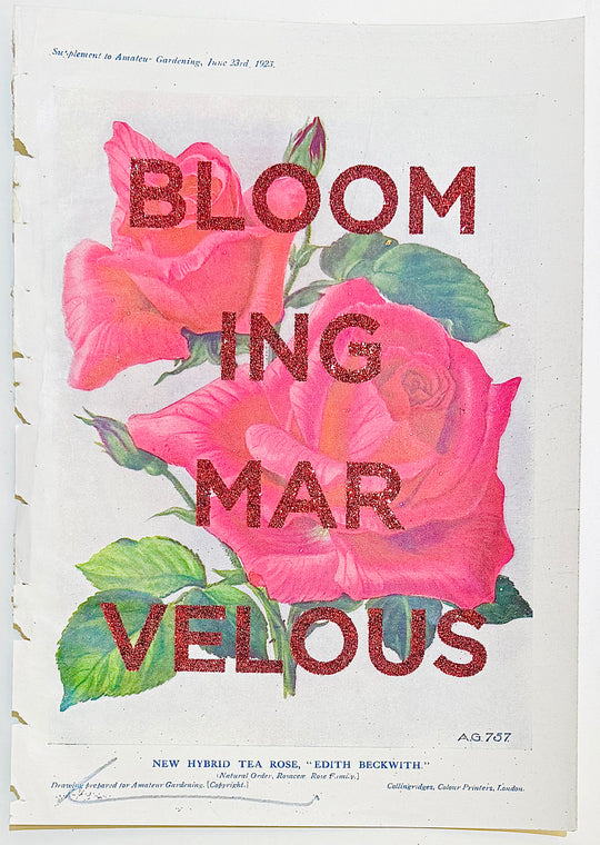 BLOOMING MARVELOUS