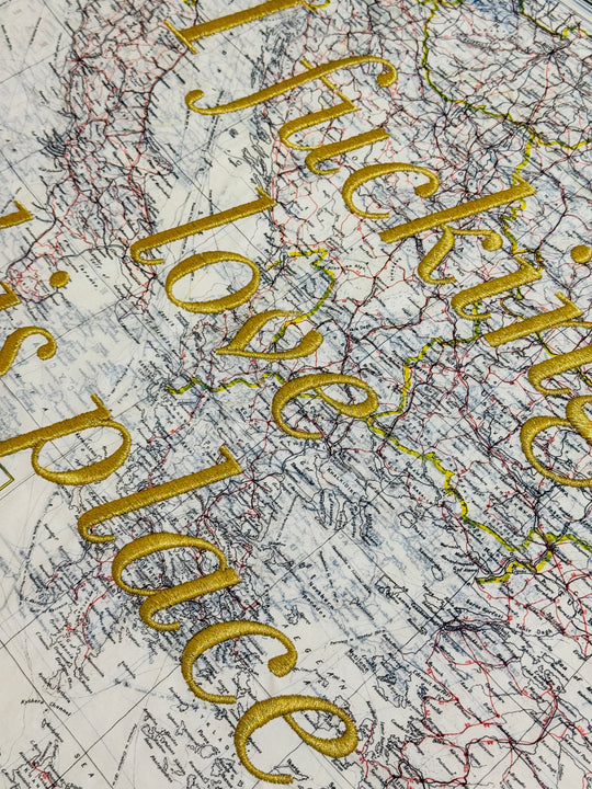 i FUCKiNG LOVE THiS PLACE - EMBROiDERED MAP