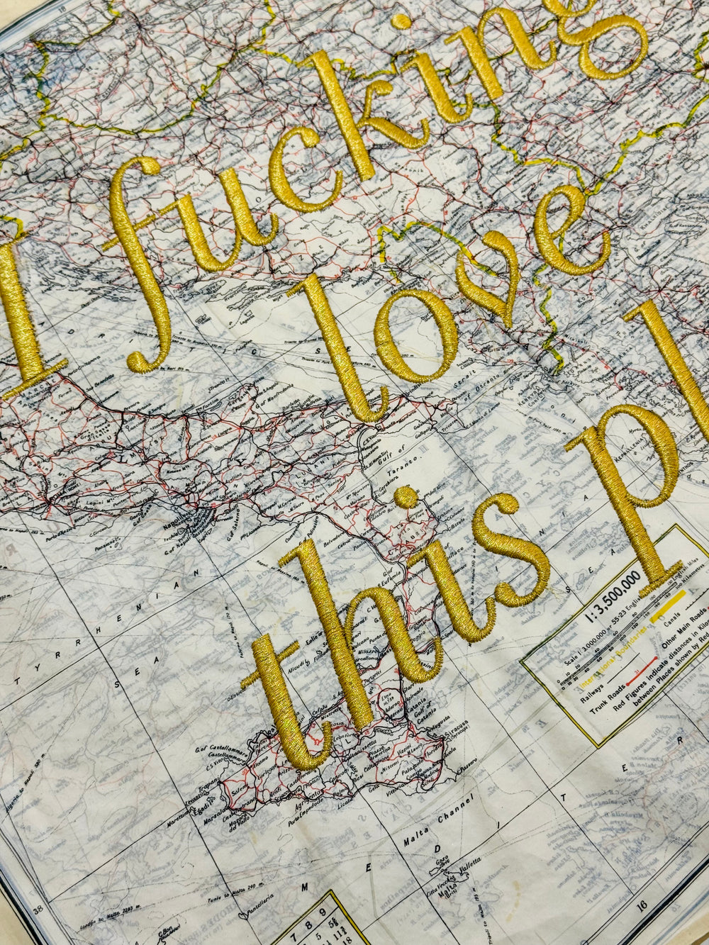 i FUCKiNG LOVE THiS PLACE - EMBROiDERED MAP