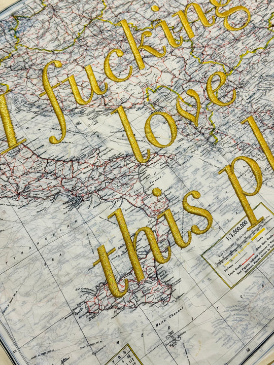 i FUCKiNG LOVE THiS PLACE - EMBROiDERED MAP
