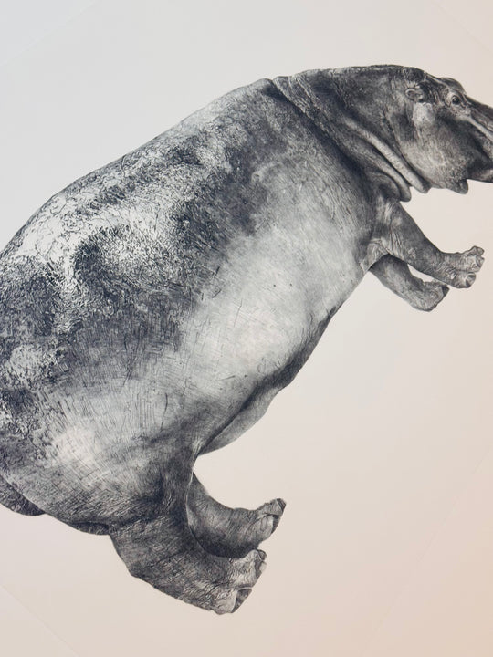 UNTiTLED (HiPPO)