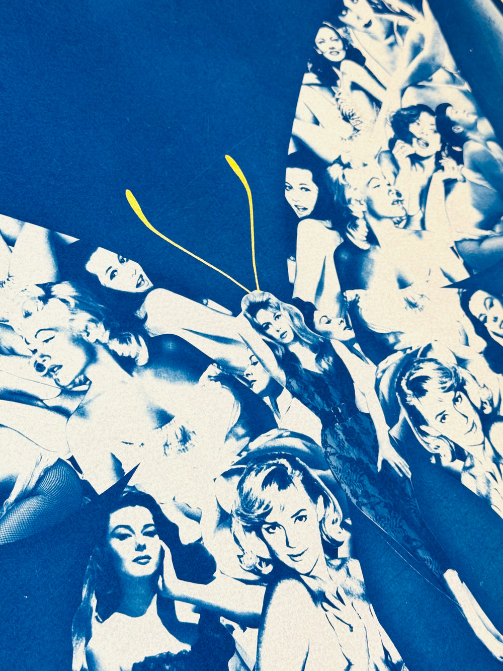 BOMBSHELL BUTTERFLY CYANOTYPE