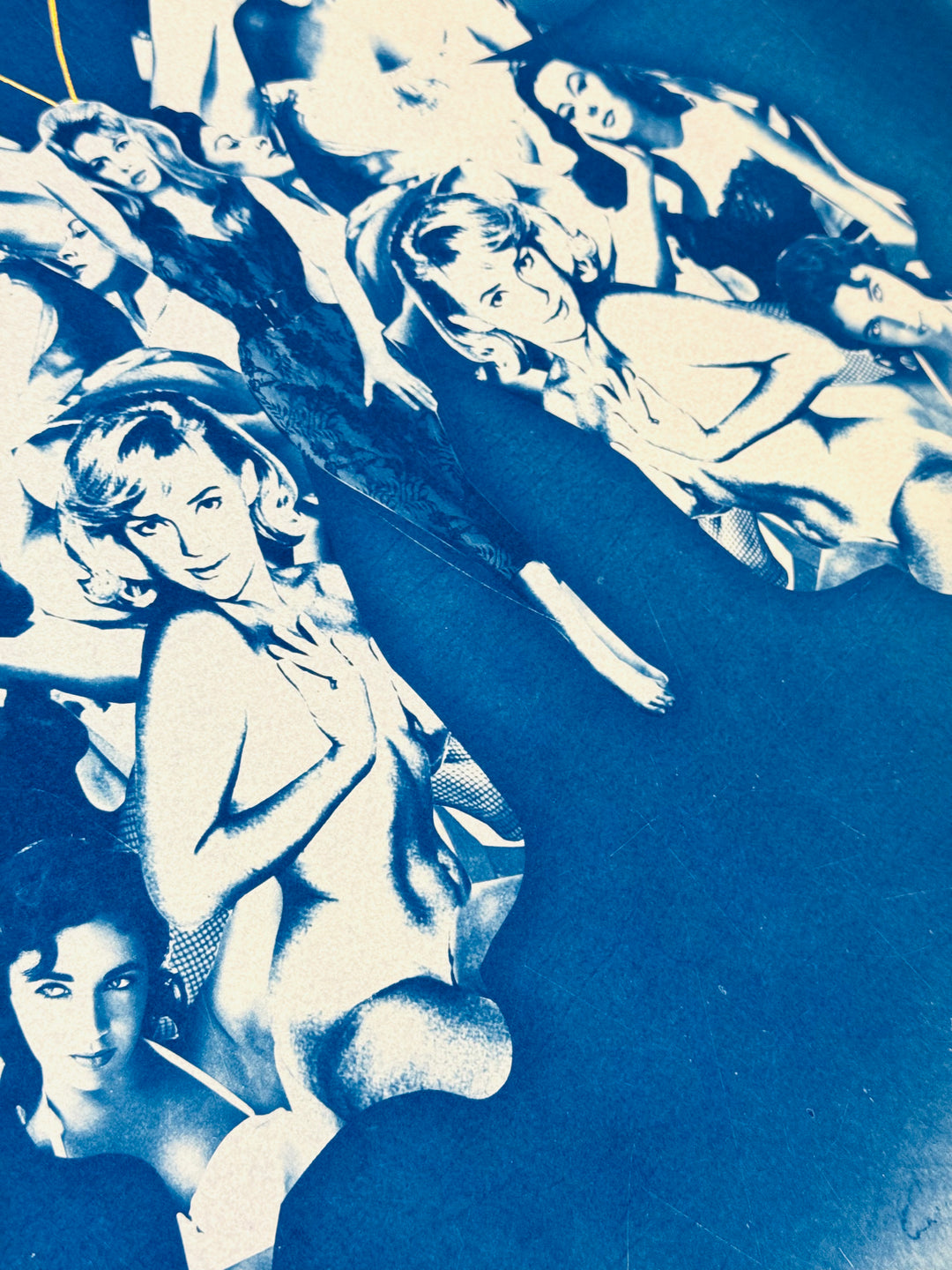 BOMBSHELL BUTTERFLY CYANOTYPE