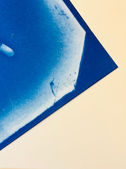 BOMBSHELL BUTTERFLY CYANOTYPE